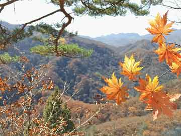 廣東晚安軟床有限公司，品質(zhì)與創(chuàng)新的融合典范